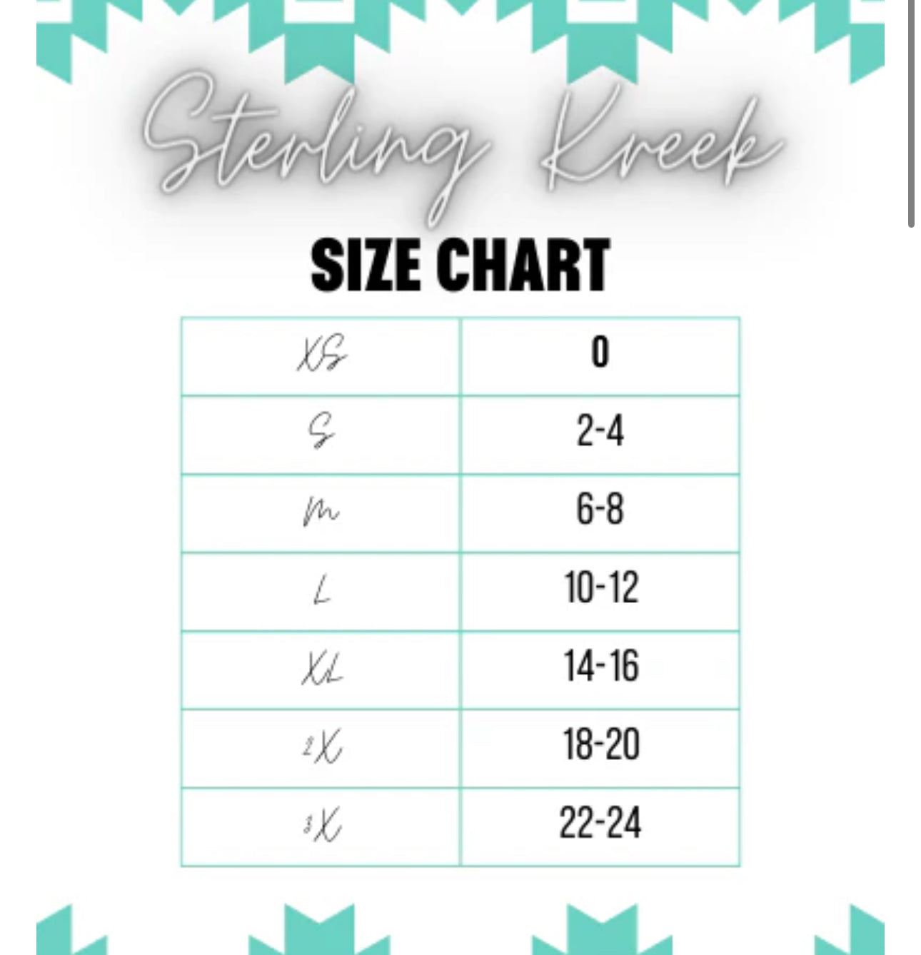 VIVA LAS COWGIRL MESH TOP