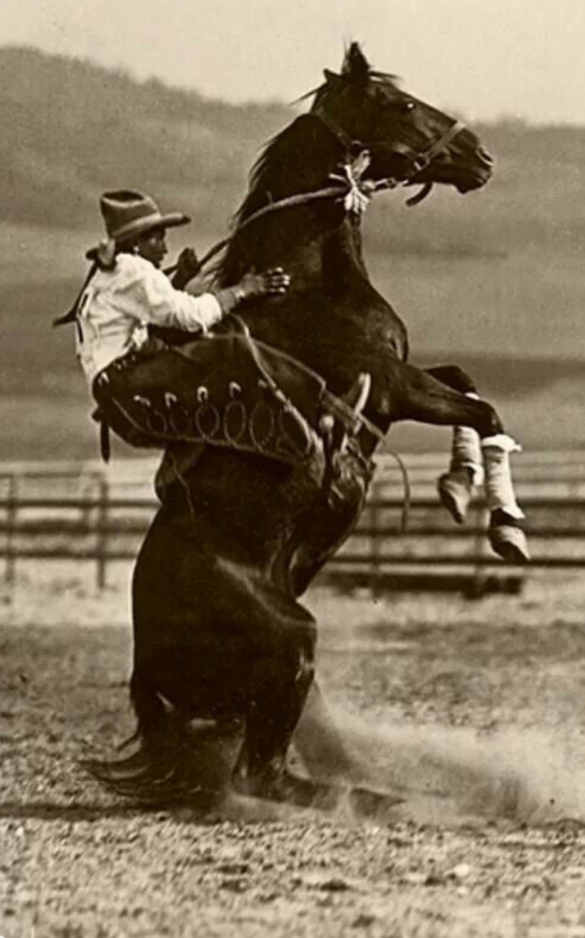 TACK & HORSE accessories