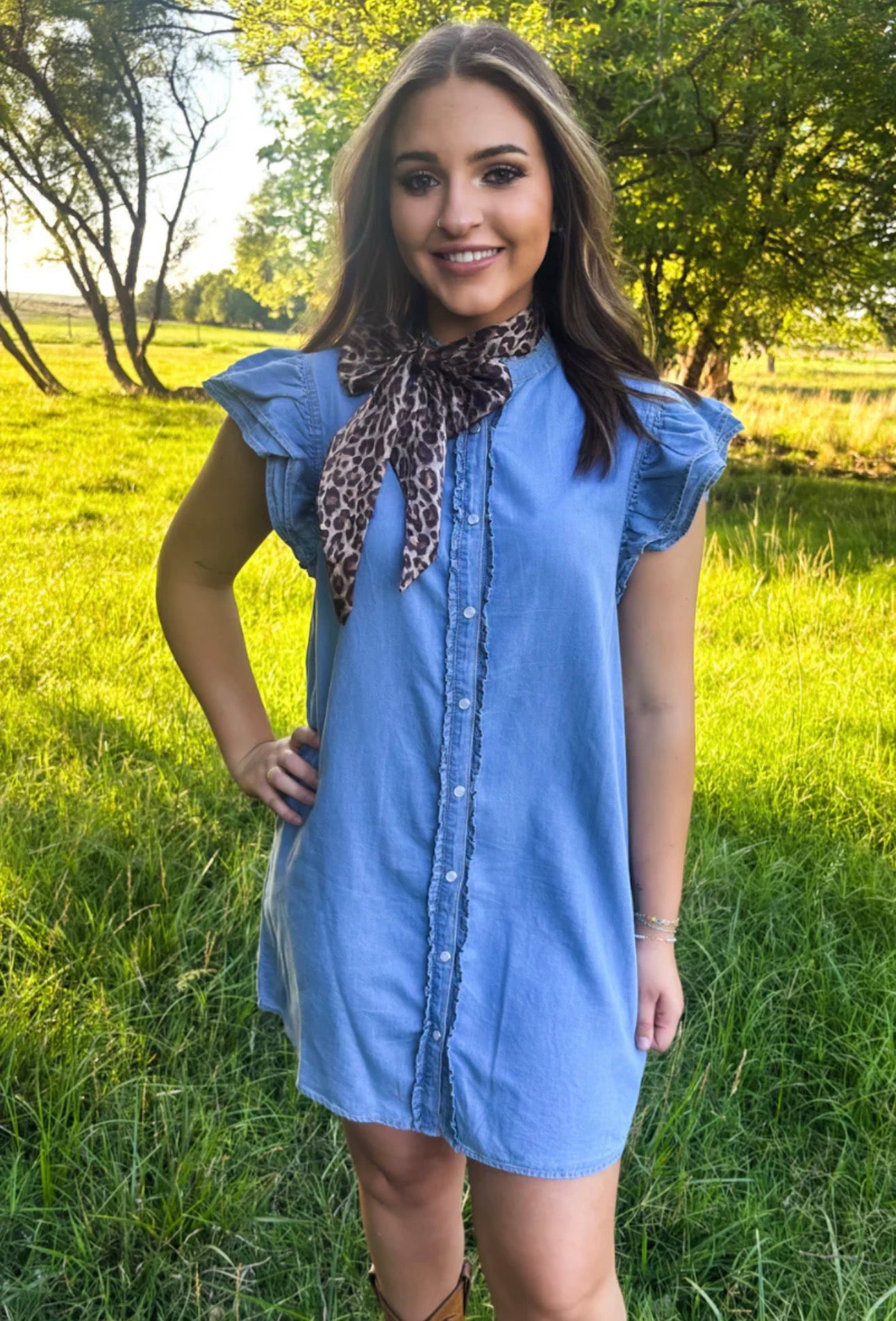 DENIM DAYS DRESS